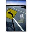 400 Kilometres by Drew Hayden T...